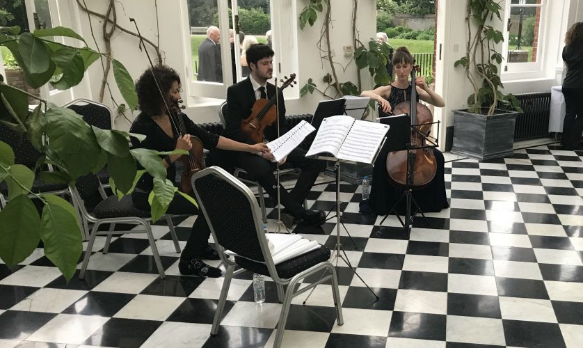 Live Music for 50th Birthday Celebrations