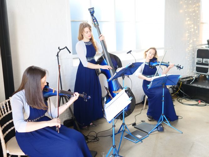 Electric String Quartet or Trio for Weddings